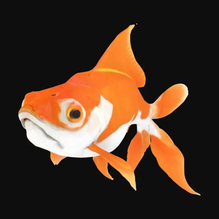 3D model for Goldfish, lowpoly