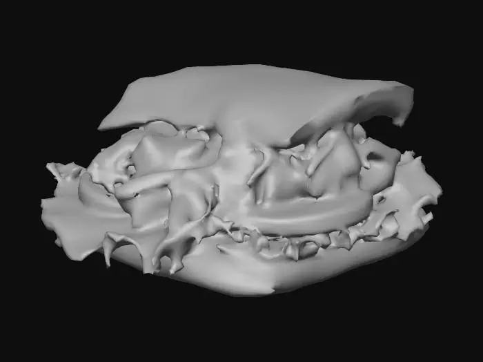 3D model for Tasty Sandwich Delight