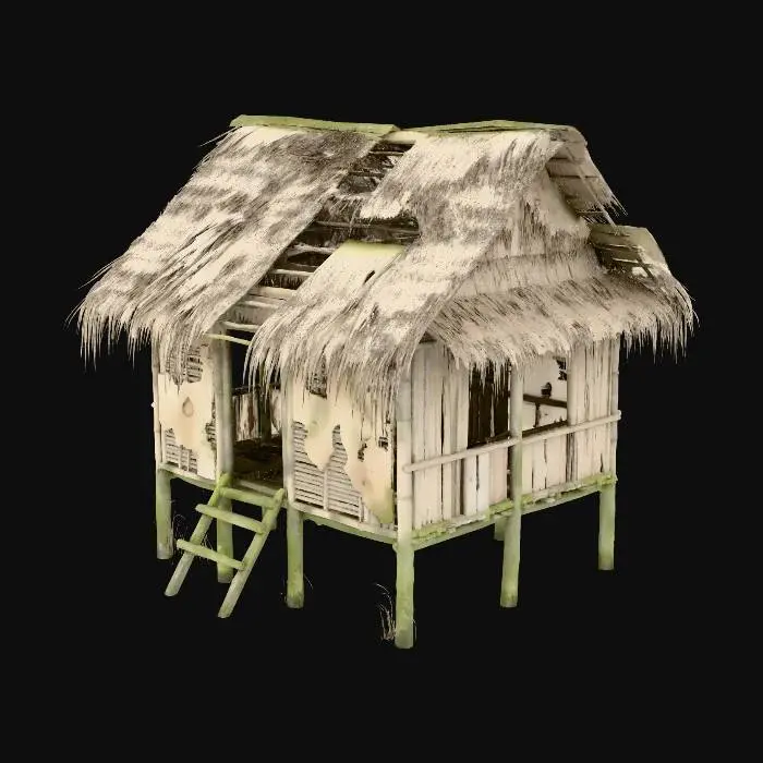 3D model for Abandoned Hut