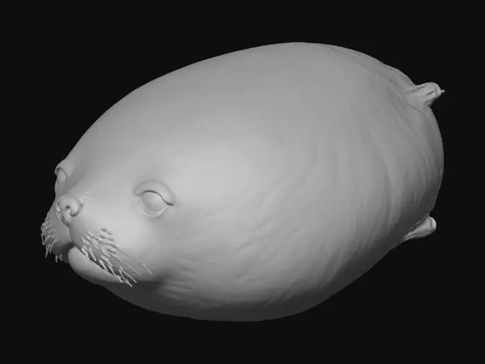 3D model for Mango Seal