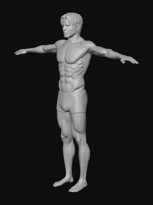 3D model for Human T-Pose Study