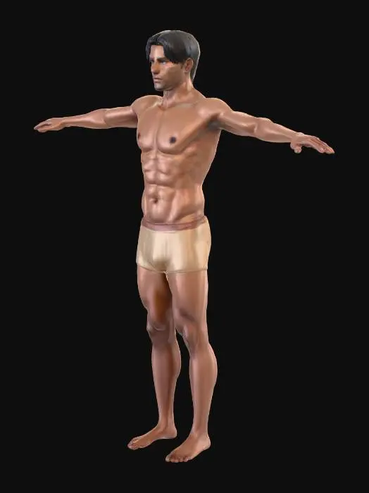 3D model for Human T-Pose Study