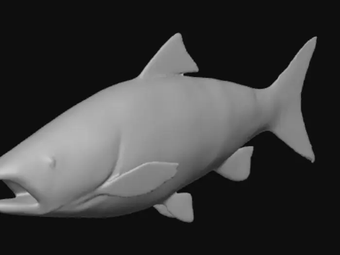 3D model for Silver Streamer