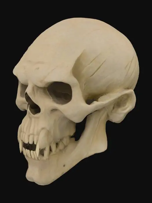 3D model for Macabre Visage