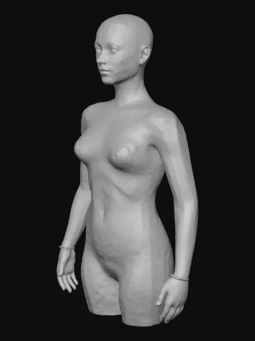 3D model for In the Mirror