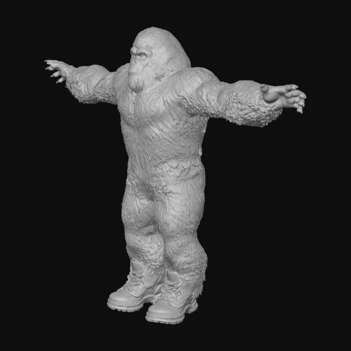 3D model for Yeti Fashion