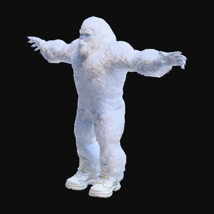 3D model for Yeti Fashion