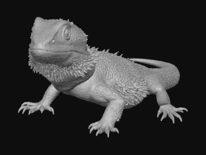 3D model for Lizard in Comfort
