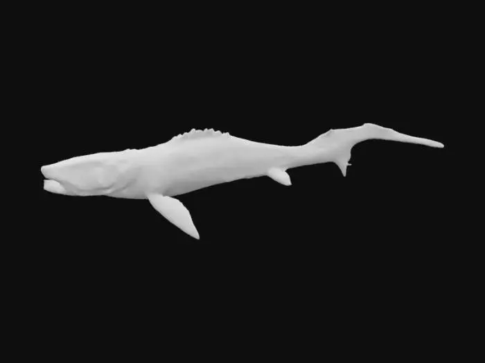 3D model for Dunkleosteus 