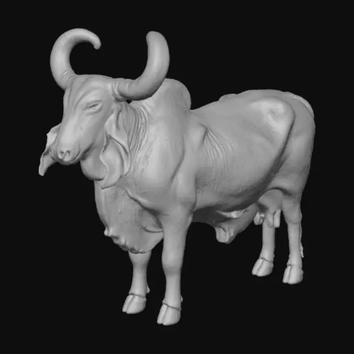 3D model for Bovine Majesty