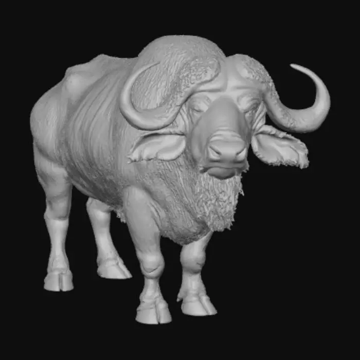 3D model for Buffalo Majesty