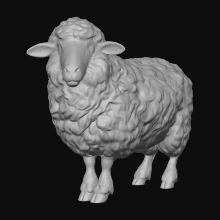 3D model for Woolly Wonder