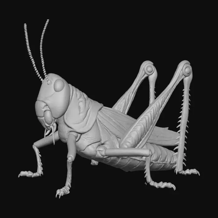 3D model for Grasshopper Artistry