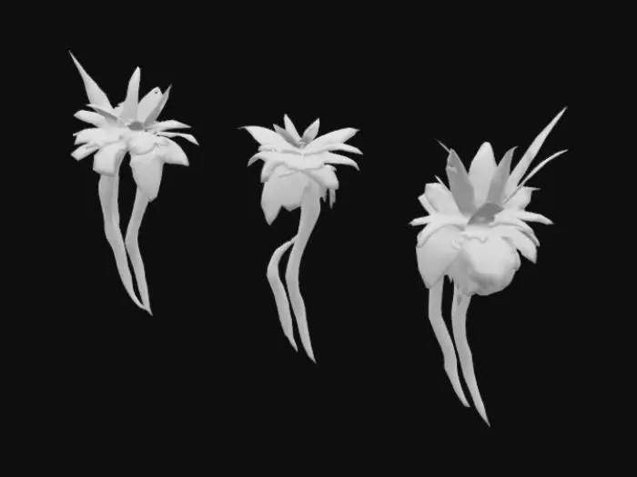 3D model for Windy Overgrown Grass