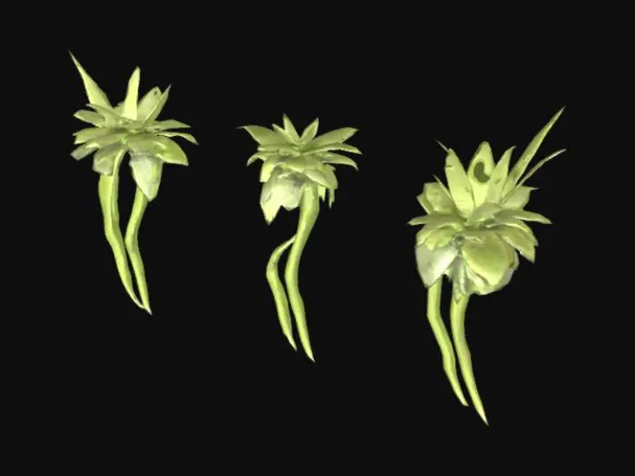 3D model for Windy Overgrown Grass