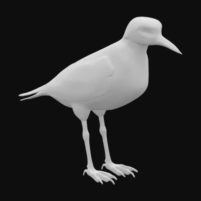 3D model for Ultra-detailed 3D model of a Ruddy Turnstone (Arenaria interpres). Highlight its mottled brown, black, and white upperparts, and white underparts. Emphasize the short orange legs, black-tipped black beak, and bold black-and-white facial pattern. Showcase the fine feather textures and subtle color gradients. Standing pose, focusing on the bird’s striking posture and visually dominant features