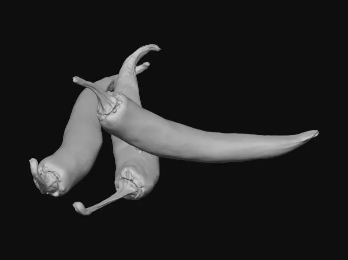 3D model for Spicy Trio