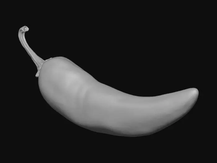 3D model for Chili Essence