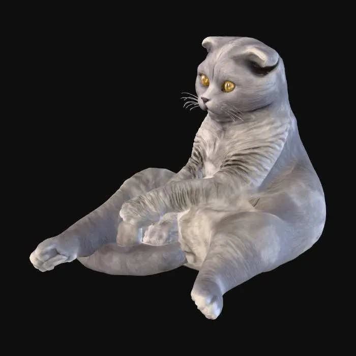 3D model for Relaxed Cat