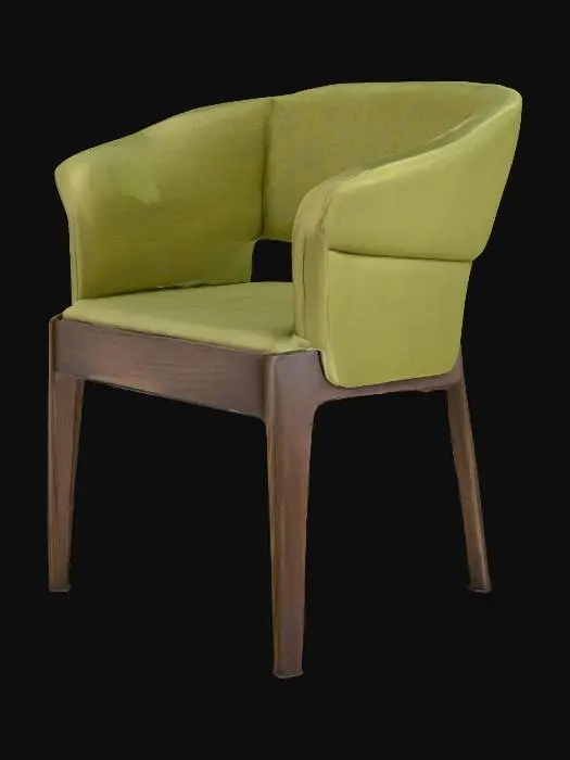 3D model for Olive Lounge Chair