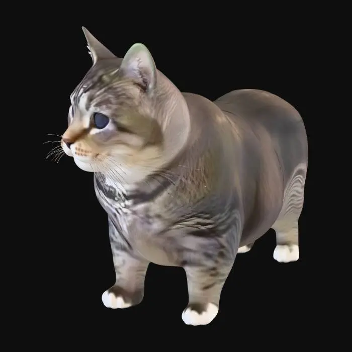 3D model for cat