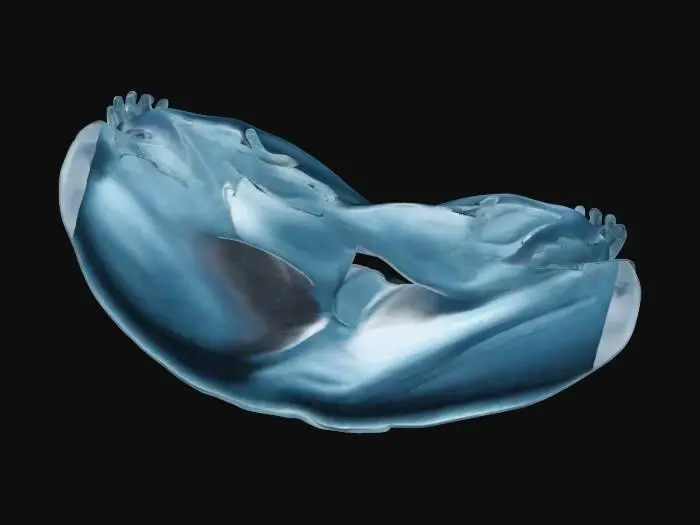 3D model for Meditative Divine