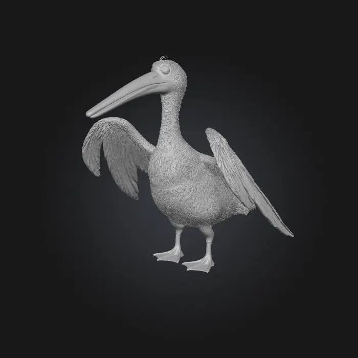 3D model for Make a mesh of a pelican with even lighting.