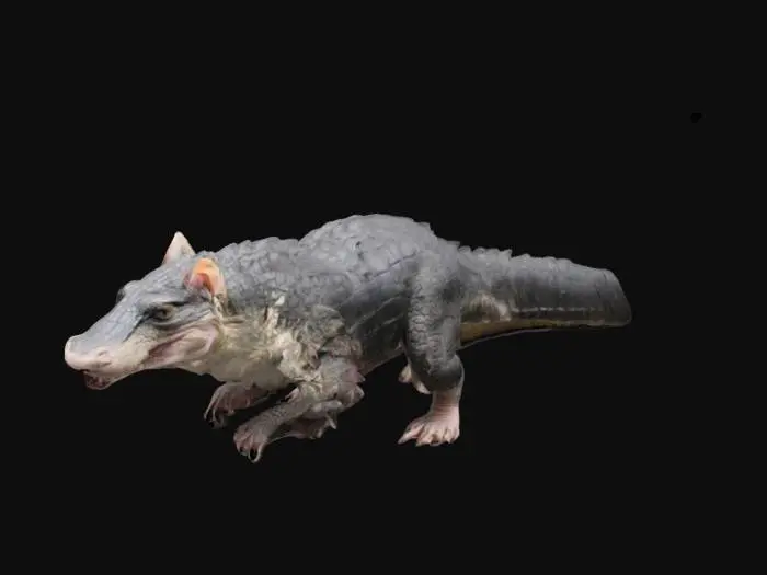 3D model for Dragon Silhouette