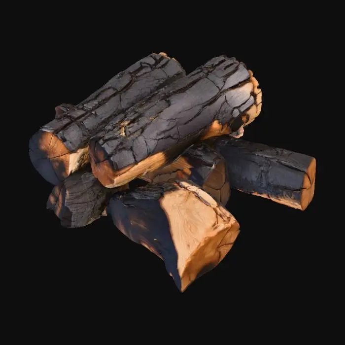 3D model for Charred Logs
