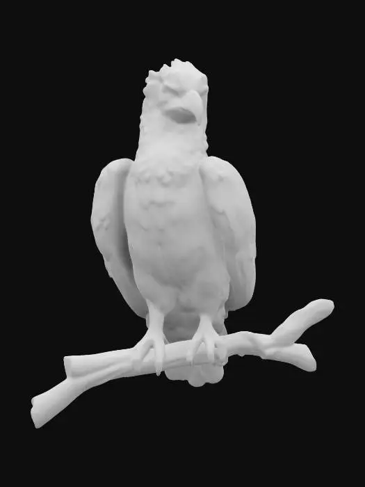 3D model for Majestic 3D harpy eagle perched on a branch, its massive talons gripping tightly. Gray and black plumage contrasts with a white chest. A striking feathered crown rises as it observes surroundings. Powerful wings fold elegantly, muscles visible beneath feathers. Its hooked beak is razor-sharp, and dark eyes radiate intelligence. The textured feathers and detailed shading emphasize its dominance as a top aerial predator. Ultra Realistic. Highly Detailed