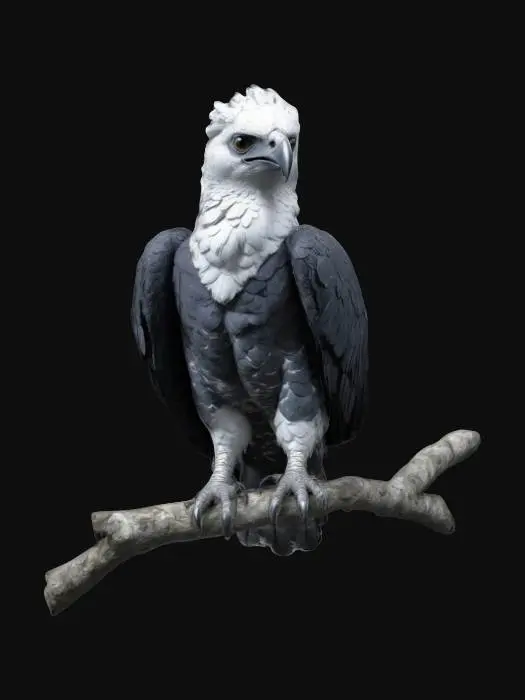3D model for Majestic 3D harpy eagle perched on a branch, its massive talons gripping tightly. Gray and black plumage contrasts with a white chest. A striking feathered crown rises as it observes surroundings. Powerful wings fold elegantly, muscles visible beneath feathers. Its hooked beak is razor-sharp, and dark eyes radiate intelligence. The textured feathers and detailed shading emphasize its dominance as a top aerial predator. Ultra Realistic. Highly Detailed