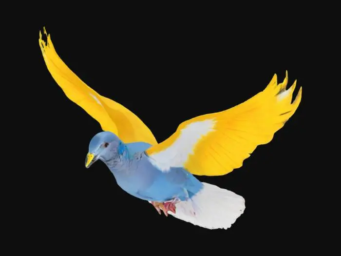 3D model for A peaceful dove flying across a clear sky, its feathers naturally blending into the colors of the Ukrainian flag — sky blue above, golden yellow below. Realistic or semi-watercolor style, full of sunlight, lightness, hope, and freedom. The bird should look dynamic yet soft, with smooth color transitions. Symbol of peace and unity. Warm, inspiring atmosphere.  #AroundTheWorld# [Ukraine]