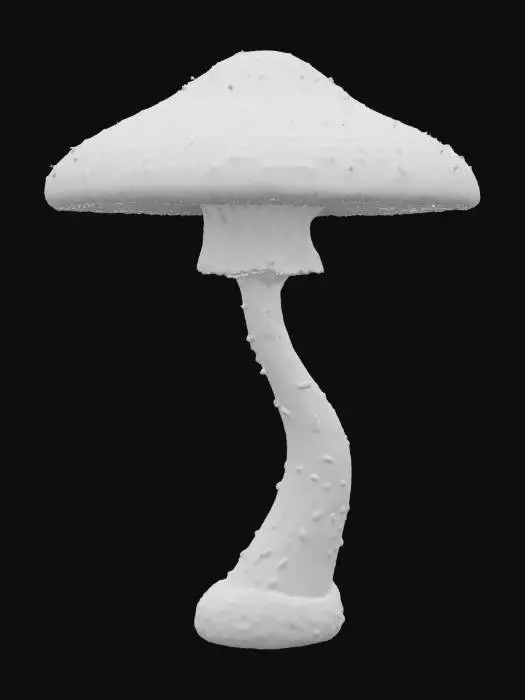 3D model for A highly detailed 3D model of a mystical mushroom inspired by Psilocybe cubensis. The cap is smooth and slightly convex, transitioning from a golden-brown center to a pale edge, with delicate gills underneath. The thick stem is slightly curved, featuring a textured veil remnant. The mushroom emits a faint bioluminescent glow, giving it an ethereal, psychedelic aura. Modeled with realistic organic details and a slightly surreal twist., #game figure#