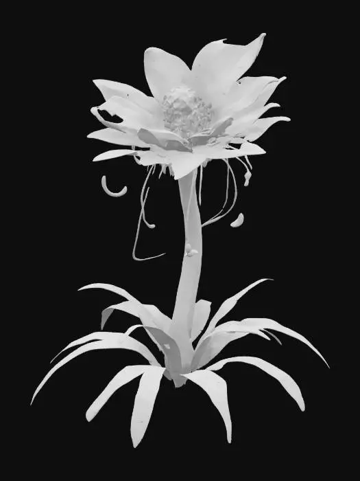 3D model for Design a plant from a distant planet. How does it grow? What does it eat? Maybe it sings, glows, or moves. Show how an alien civilization might cultivate or worship it., #garden#