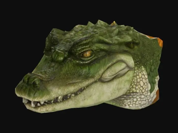 3D model for Crocodile Portrait