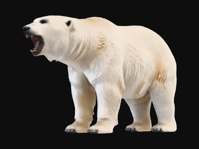 3D model for Majestic Polar Bear