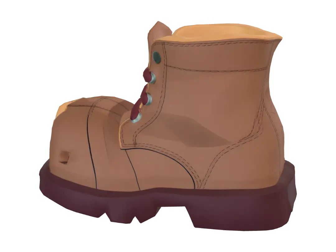 shoe