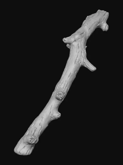 3D model for một cây gậy trông như được bẻ từ một nhánh cây nào đó, có thể miễn cưỡng dùng tạm làm vũ khí