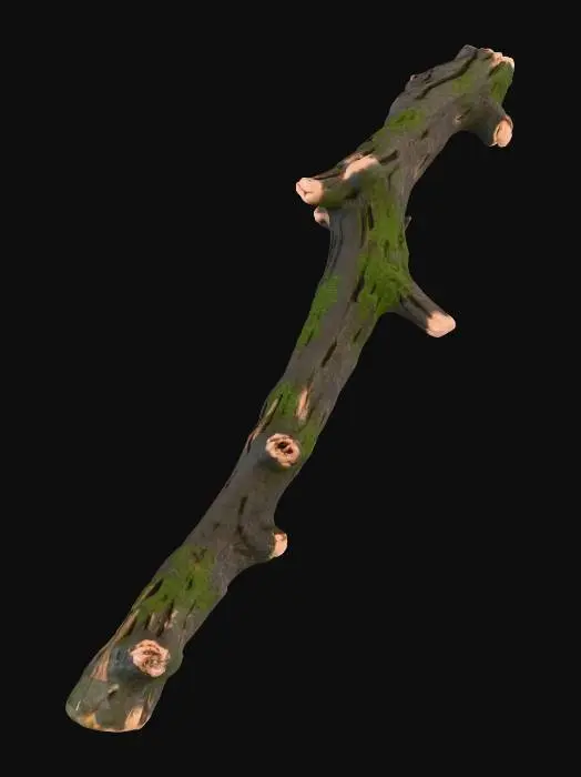 3D model for một cây gậy trông như được bẻ từ một nhánh cây nào đó, có thể miễn cưỡng dùng tạm làm vũ khí