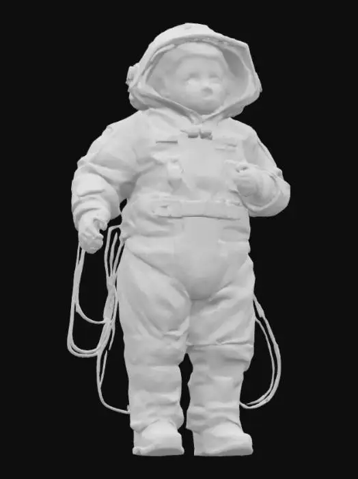 3D model for cryogenically frozen child.