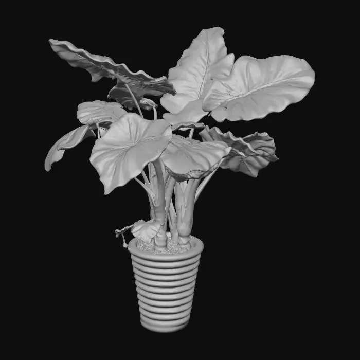 3D model for Tropical Splendor