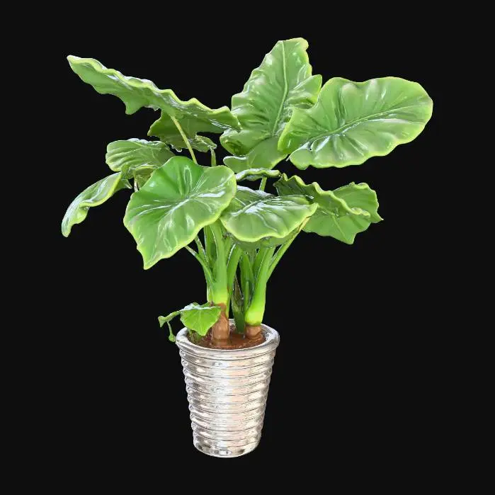 3D model for Tropical Splendor