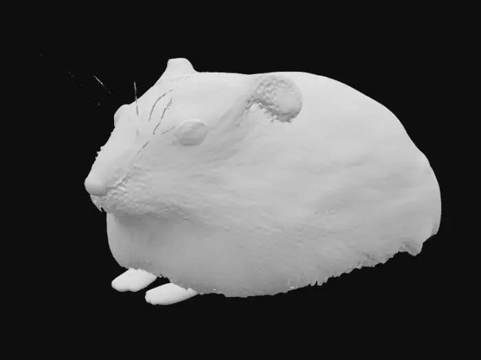 3D model for Curious Hamster