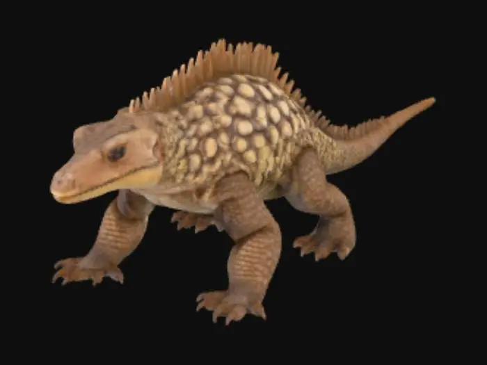 3D model for Armadillo Girdled Lizard