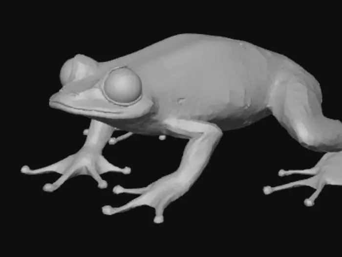 3D model for Frog Evolved Varient