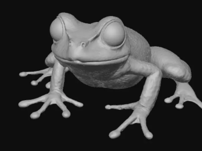 3D model for Frog Evolved Varient