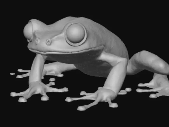 3D model for Frog Evolved Varient