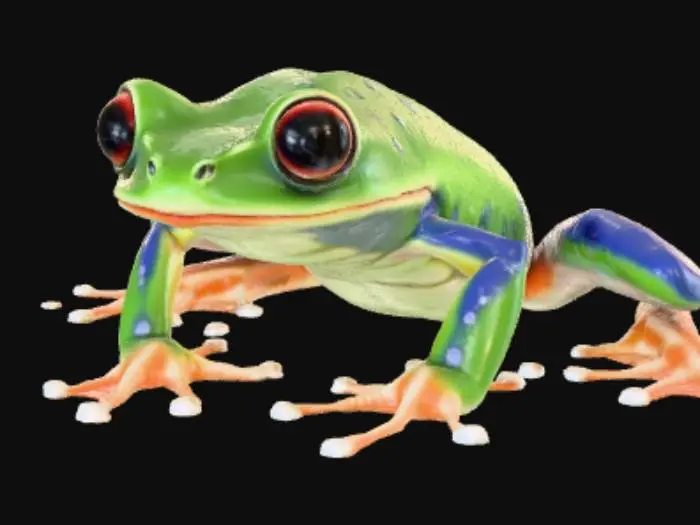 3D model for Frog Evolved Varient