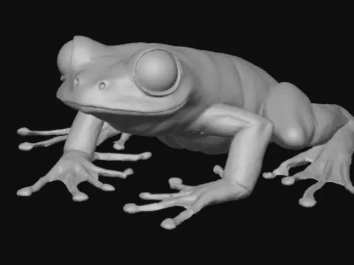 3D model for Frog Evolved Varient