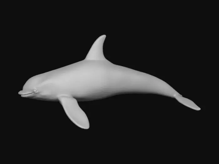 3D model for Orca whale